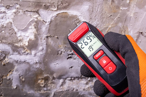 Best Mold Testing and Inspection Services in Aubrey, TX