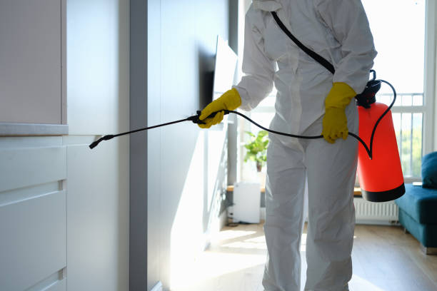 Best Localized Mold Remediation (e.g., coastal areas, humid climates) in Aubrey, TX