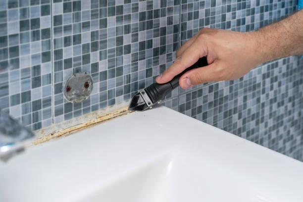 Best DIY Mold Remediation Support Services in Aubrey, TX