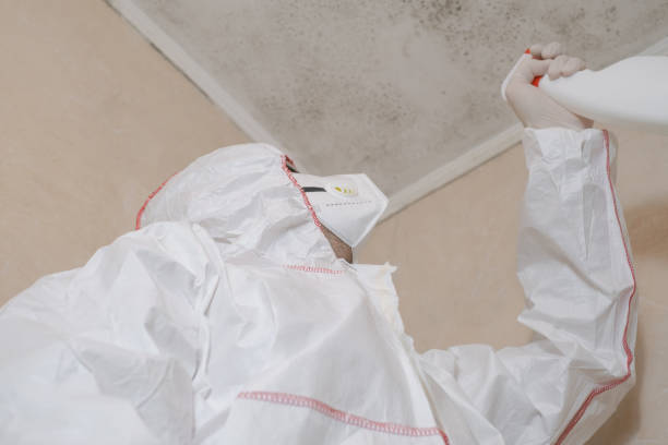 Best Residential Mold Remediation in Aubrey, TX