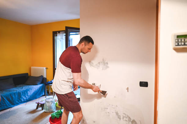 Best Attic Mold Remediation in Aubrey, TX