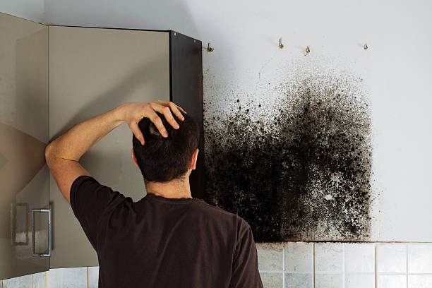  Aubrey, TX Mold Removal Pros